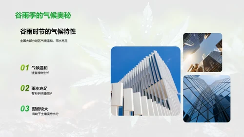 谷雨节气与环保