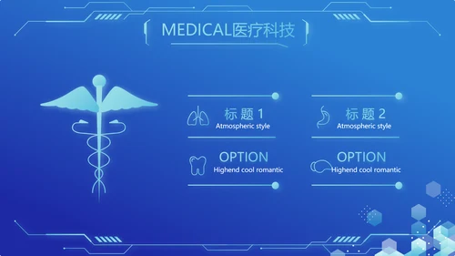 蓝色医疗科技信息化建设工作总结PPT