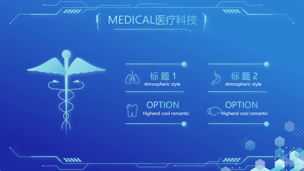 蓝色医疗科技信息化建设工作总结PPT