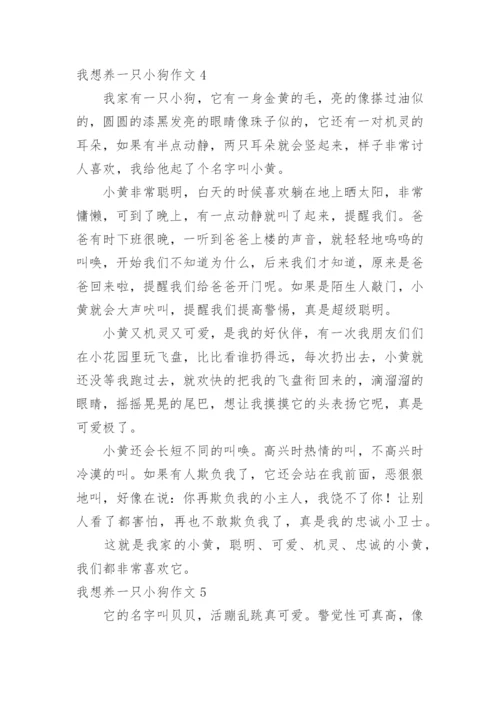 我想养一只小狗作文.docx