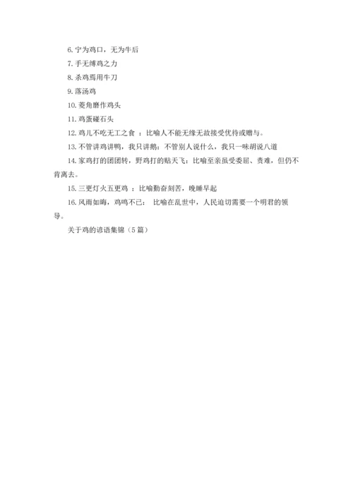 关于鸡的谚语集锦（5篇）.docx