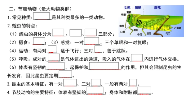 人教版生物八年级上册期末考试知识点汇总（课件）(共28张PPT)