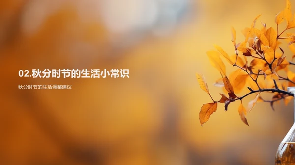 秋分节气的科学解读