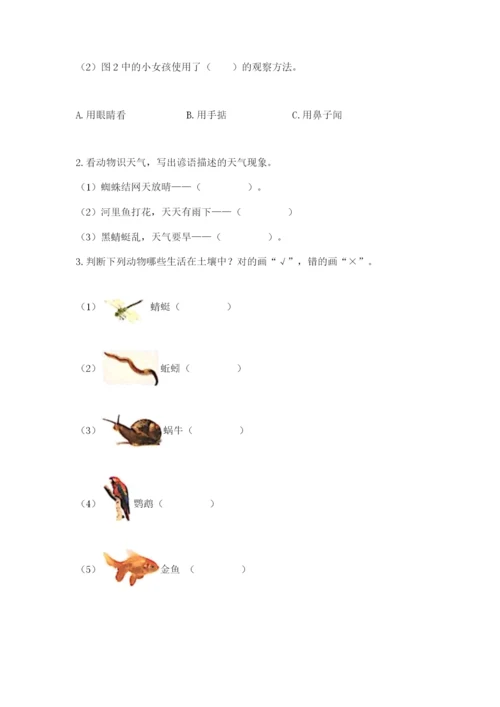 教科版小学二年级上册科学期末测试卷（名师系列）.docx