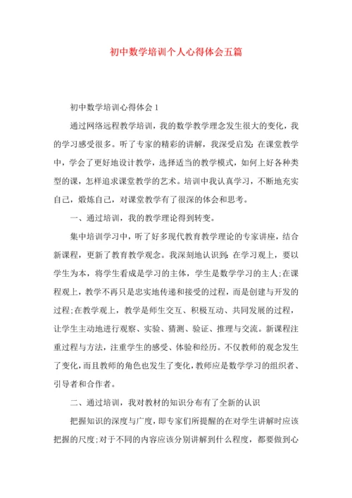 初中数学培训个人心得体会五篇.docx