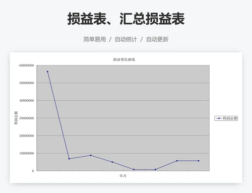 损益表、汇总损益表