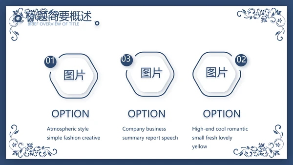 欧式花纹项目创业融资计划书商业计划书PPT