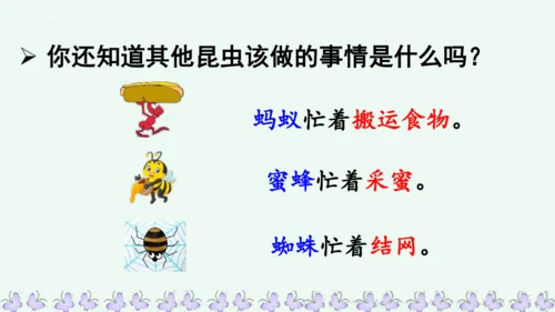 22小毛虫  课件