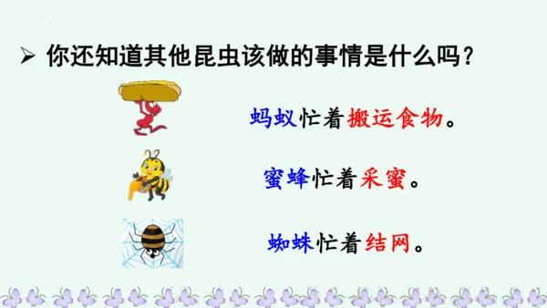 22小毛虫  课件