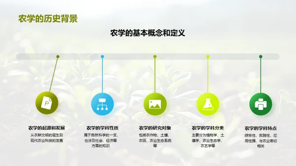 新型种植模式探究