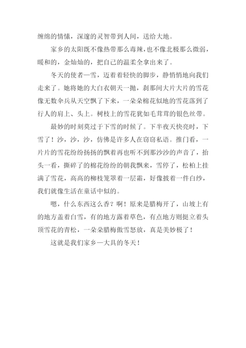 描写家乡冬天的作文-1.docx
