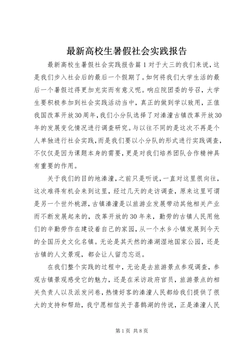 最新高校生暑假社会实践报告.docx