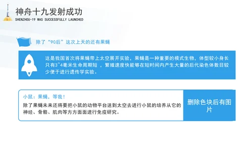 神舟十九号飞船发射事迹主题班会PPT