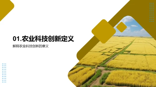 农科创新之光