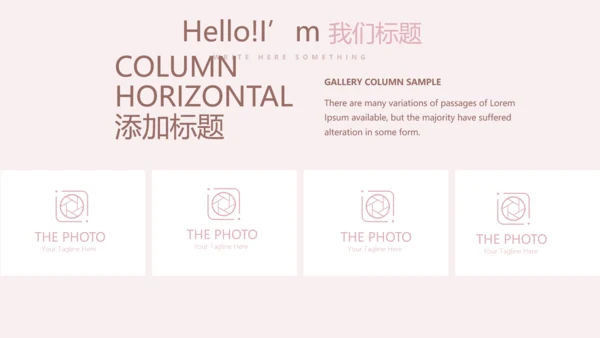 粉色时尚公司产品介绍宣传通用PPT动态模板
