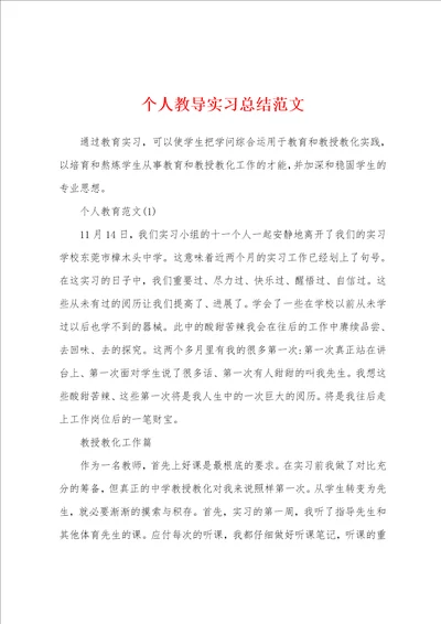 个人教导实习总结范文