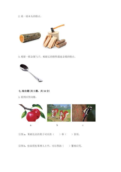 教科版科学二年级上册《期末测试卷》精品【b卷】.docx