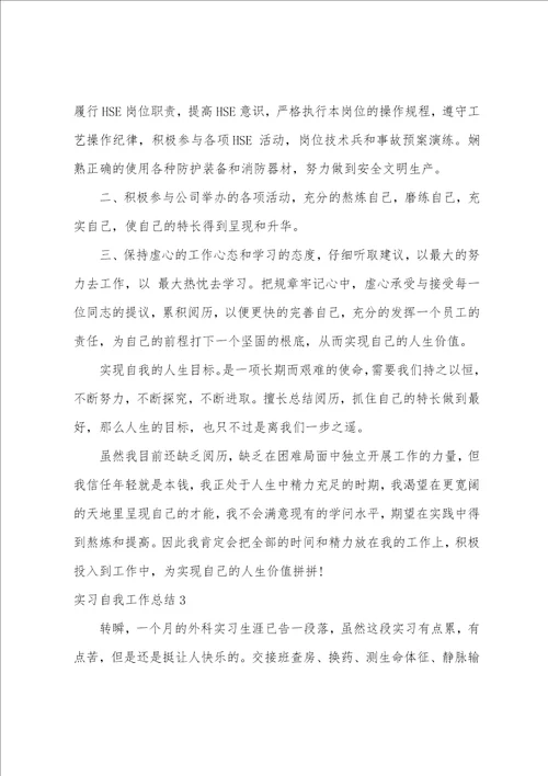 实习自我工作总结