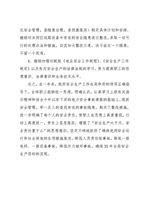 电力局安全生产工作总结
