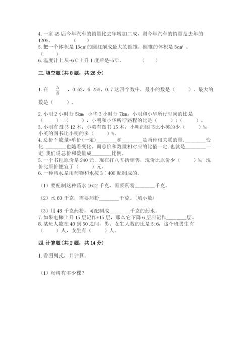 南京市六合区六年级下册数学期末测试卷及答案一套.docx