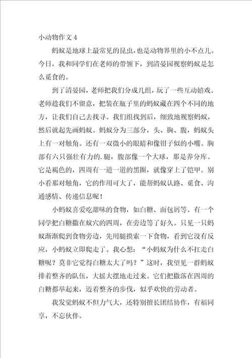 小动物作文500字11篇