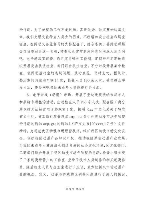 乡镇年度文化稽查工作总结.docx