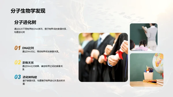 探索生物演化历程
