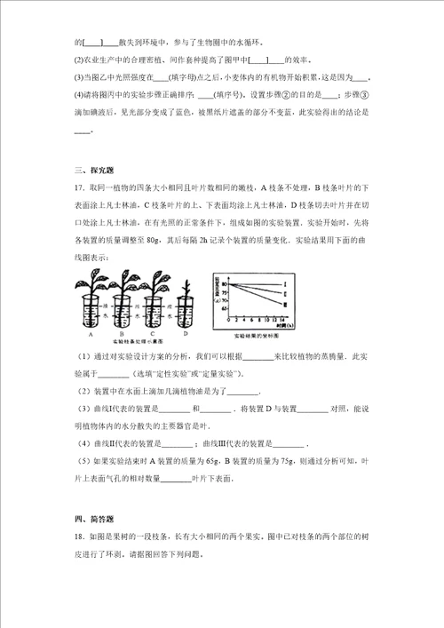 第四章植物的物质和能量转化练习华东师大版科学八年级上册