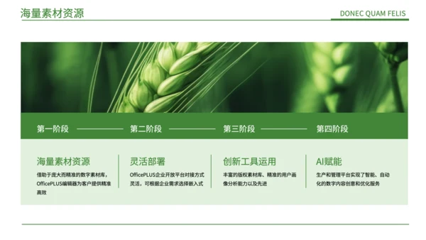 绿色简约风现代农业发展PPT
