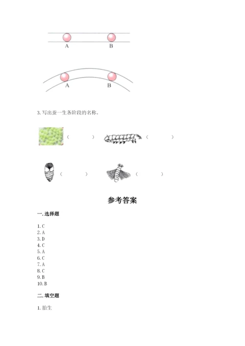 教科版小学科学三年级下册 期末测试卷附完整答案【全国通用】.docx