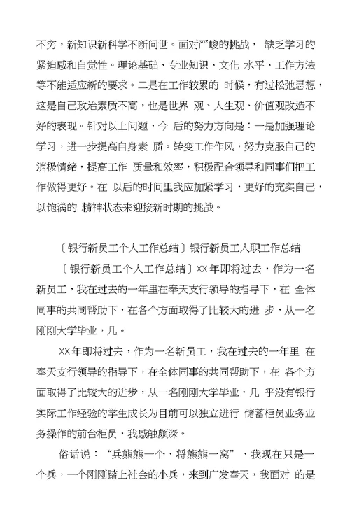 银行新员工个人工作总结