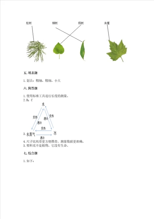 教科版一年级上册科学期末测试卷含答案ab卷