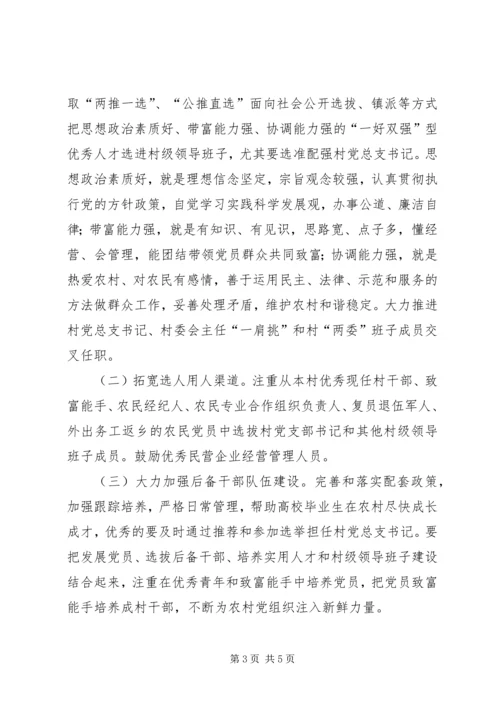 郑州XX县区关于进一步加强村党支部书记队伍建设的_1 (4).docx