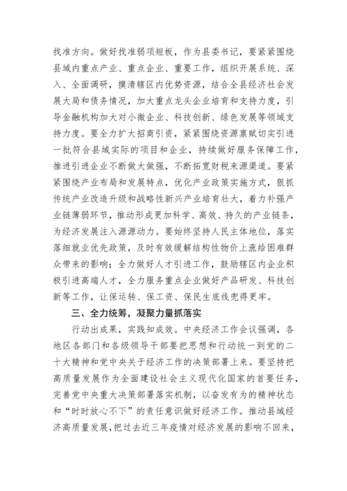 【研讨发言】县委书记学习2022年中央经济工作会议精神体会发言.docx