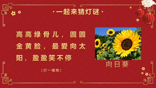 红色中国风正月十五元宵佳节班会课带内容PPT模板
