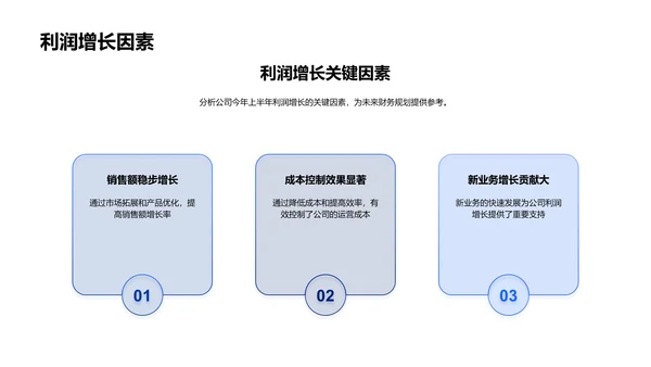 年中财务报告总结