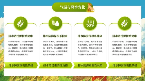 小满节气插画风教育通用模板PPT模板