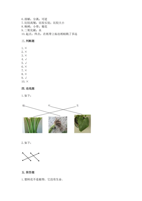 教科版一年级上册科学期末测试卷含答案（培优b卷）.docx