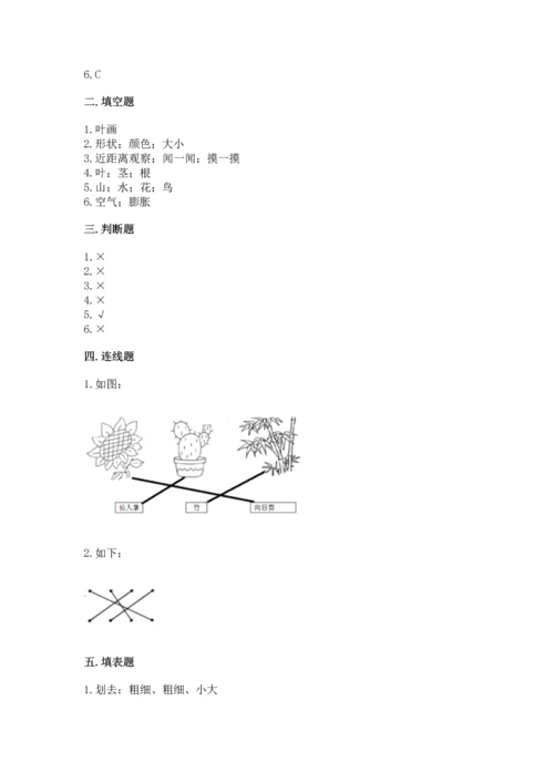 教科版科学一年级上册第一单元《植物》测试卷及1套完整答案.docx