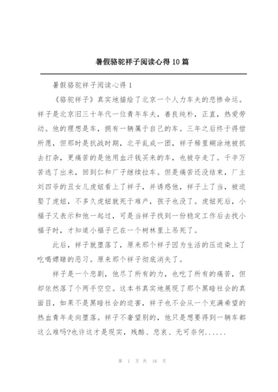 暑假骆驼祥子阅读心得10篇.docx