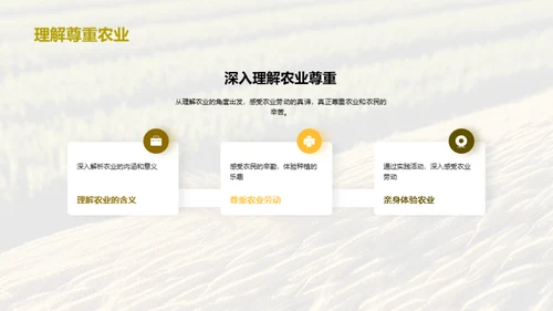 农业劳动之美