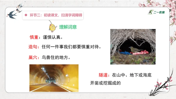 【大单元】统编版四上第二单元 第4课时 10.蟋蟀的住宅  课件