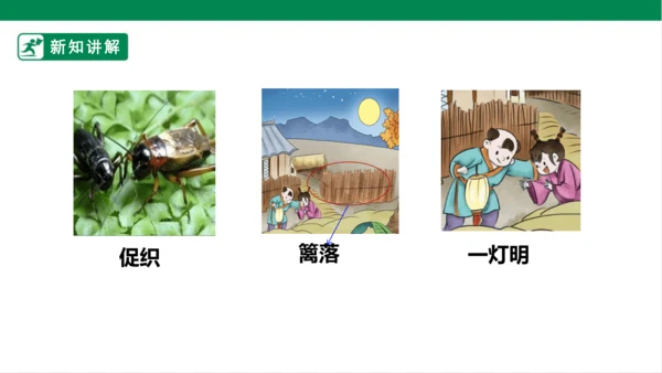 4.古诗三首：夜书所见 课件