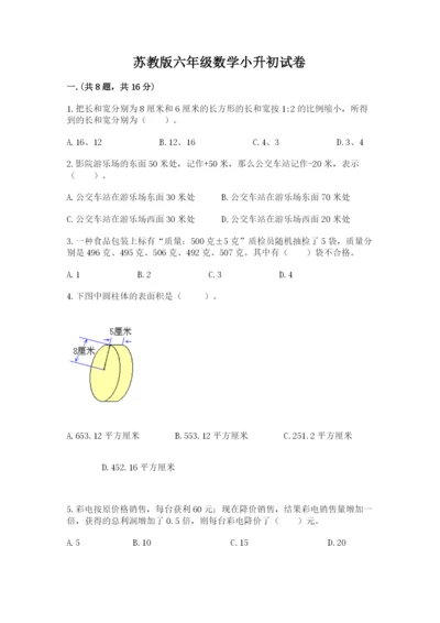 苏教版六年级数学小升初试卷必考.docx