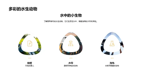 我们的小小动物园