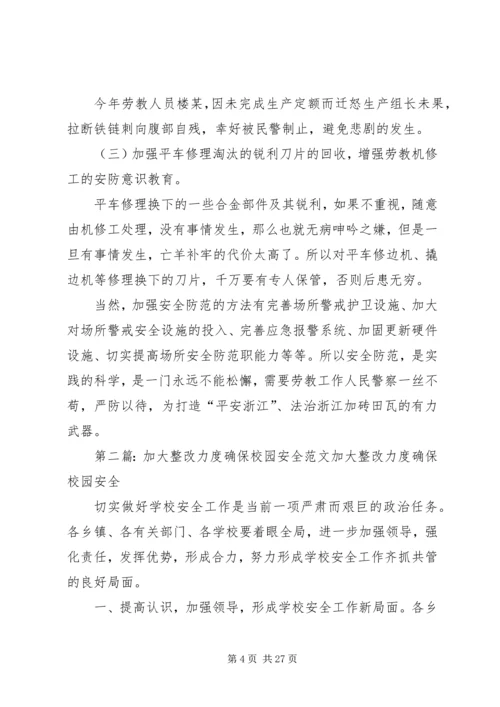 加大安全防范力度确保场所长治久安.docx