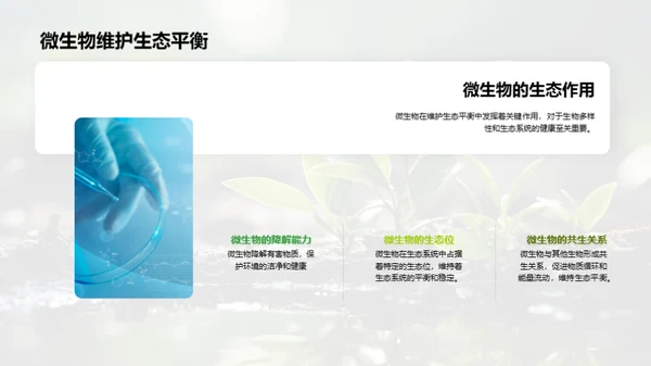 环保中的微生物应用