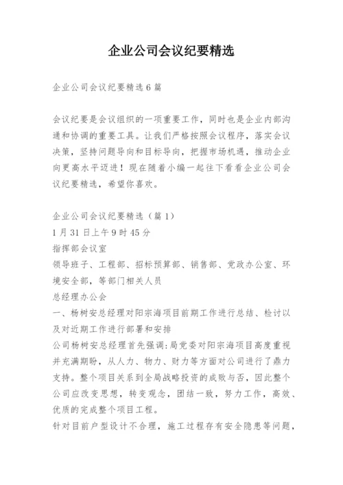 企业公司会议纪要精选.docx