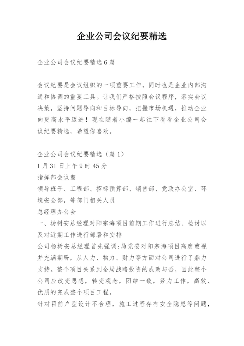 企业公司会议纪要精选.docx