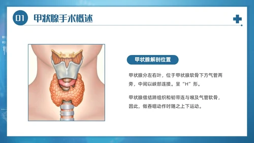 蓝色简约风医院医务工作者甲状腺手术配合及护理培训PPT课件